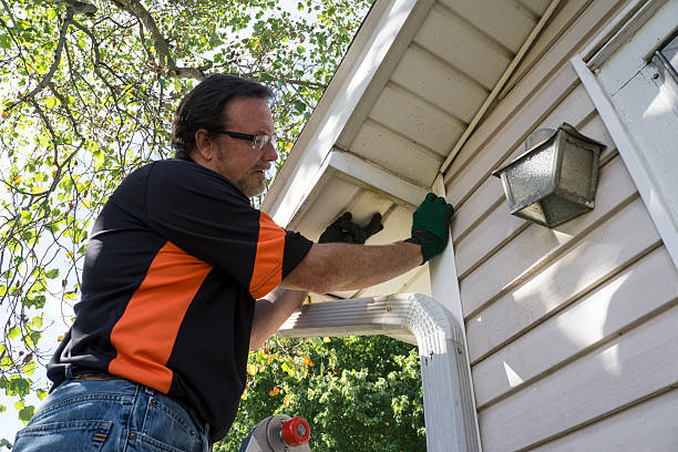 Best Hoarding Cleanup  in Battlefield, MO